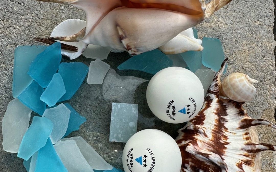 Zwei Wochen bis zum TTBL-Start